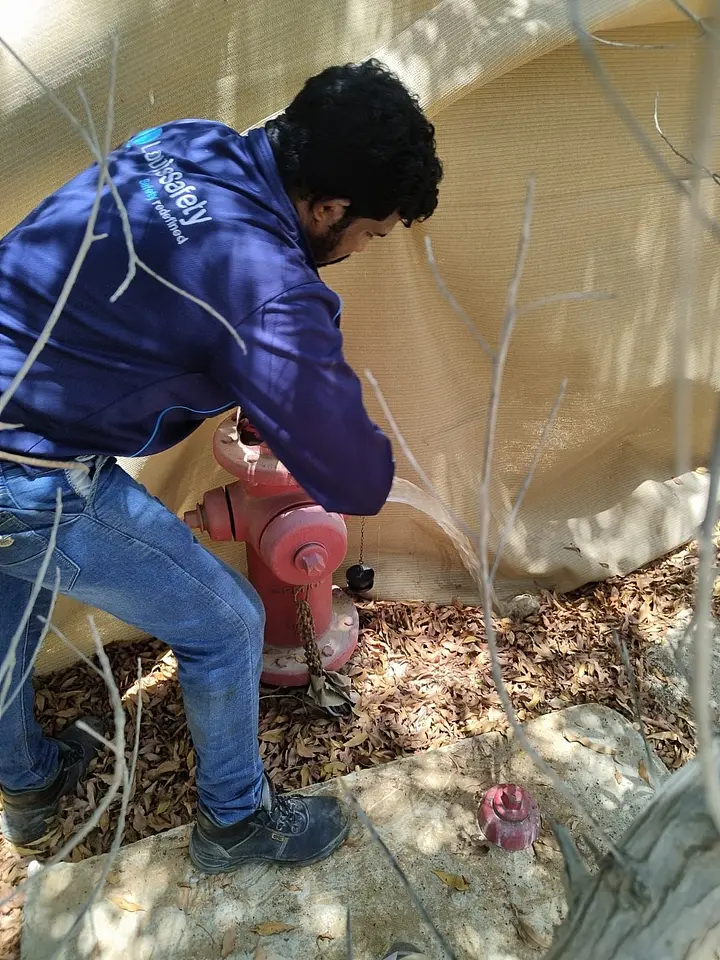 Fire Hydrant Inspection, photo 2