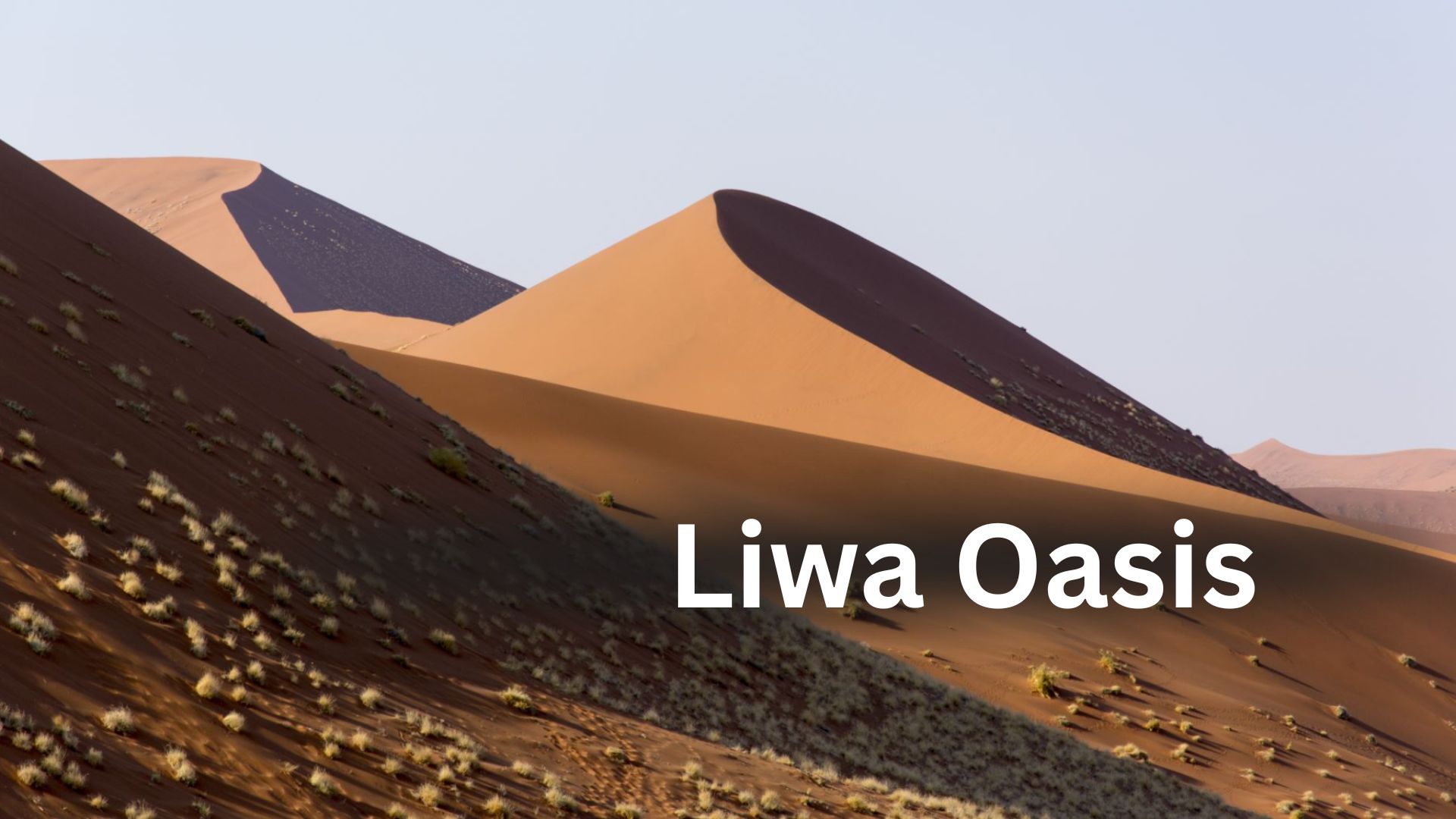 Liwa Oasis